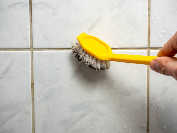 Best Mold Testing and Inspection Services in Truckee, CA