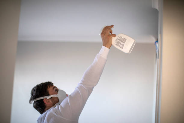 Best Mold Testing and Inspection Services in Truckee, CA