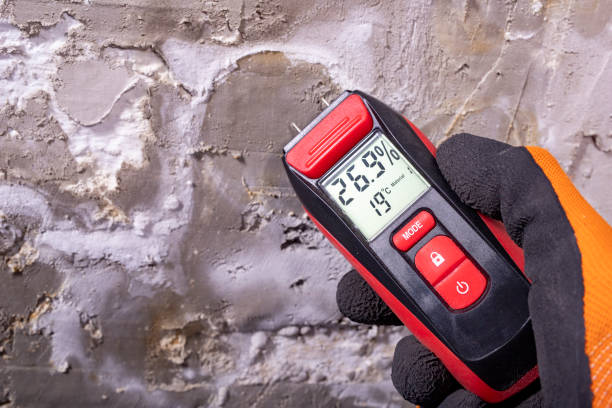 Best Bathroom Mold Remediation in Truckee, CA