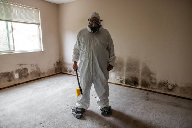 Best Residential Mold Remediation in Truckee, CA